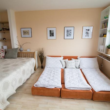 Apartman Labe Ústí nad Labem Extérieur photo
