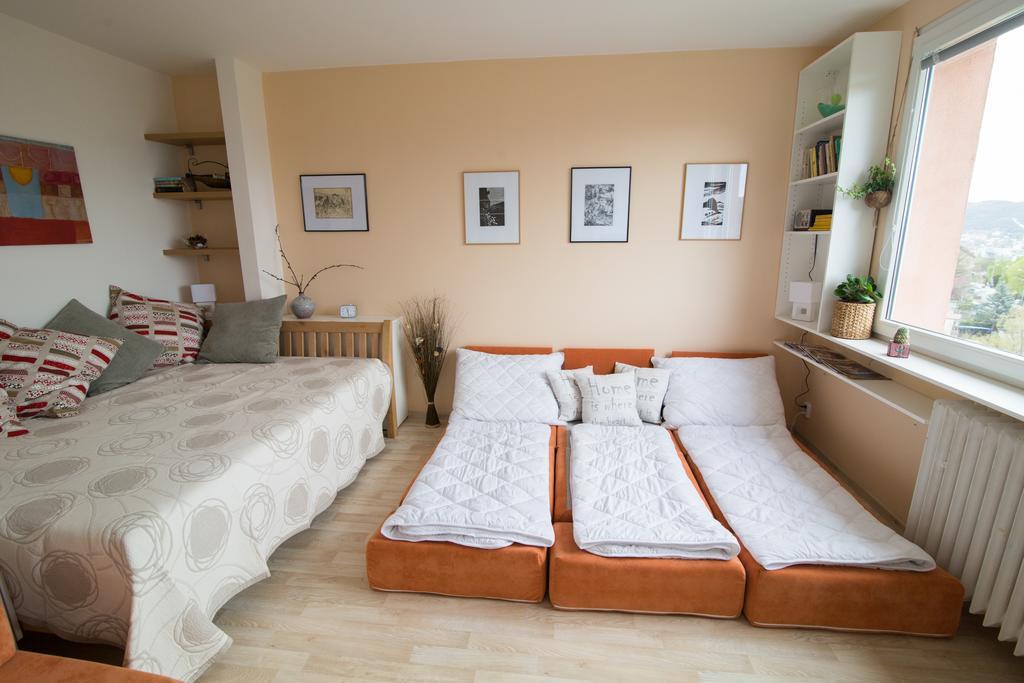 Apartman Labe Ústí nad Labem Extérieur photo